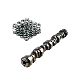 Crow Cams LS 216/223 .559/.559 114 and 4231-16 Valve Springs